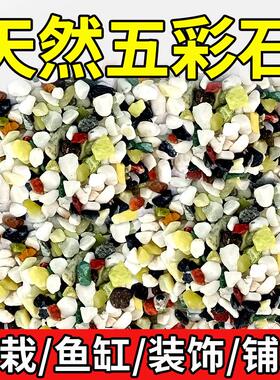 天然彩色小石子鱼缸造景鱼类装饰底砂雨花石多色小颗粒养花铺面石