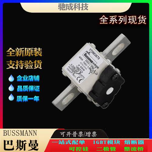 巴斯曼170M3670 170M3671 170M3672 原装进口直销价优 特种保险丝