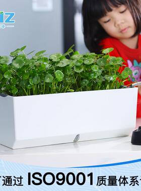 跨境欧林泽种菜盆菜庭家阳台种种A203花长方形种懒植人盆塑料花盆