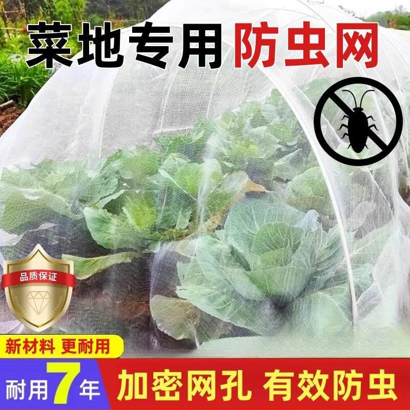 防虫网种菜专用阳台大棚蔬菜园地防果蝇遮虫防鸟纱网农用防虫厂家