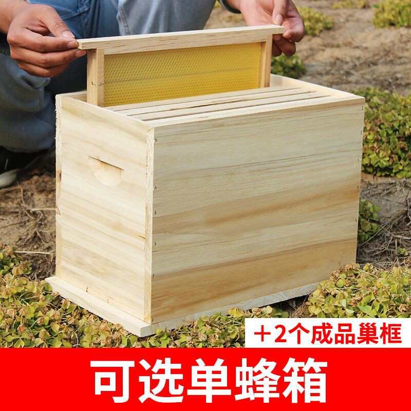 中蜂箱杉木烘干小型六框育王箱土养箱诱蜂箱全套带框交尾箱蜂大哥