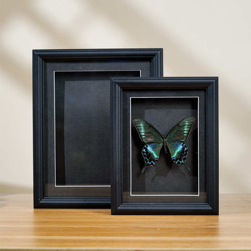 欧式MDF中空2cm木相框 蝴蝶标本框摆台手工纪念相框干花玻璃画框