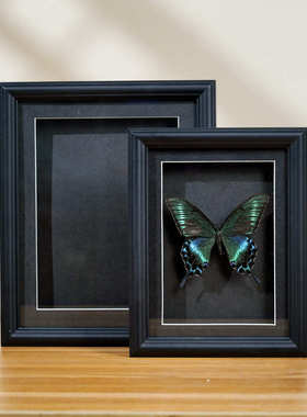 欧式MDF中空2cm木相框 蝴蝶标本框摆台手工纪念相框干花玻璃画框