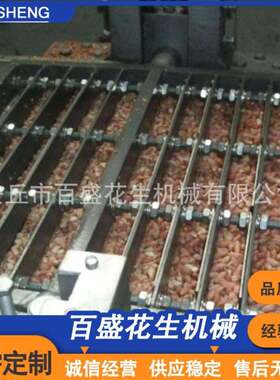 直刀切式夏威夷果切碎机坚果颗粒机器花生米连续式切丁设备