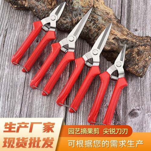 园艺修枝剪刀厂家园艺修枝剪刀园艺摘果剪园艺修枝剪