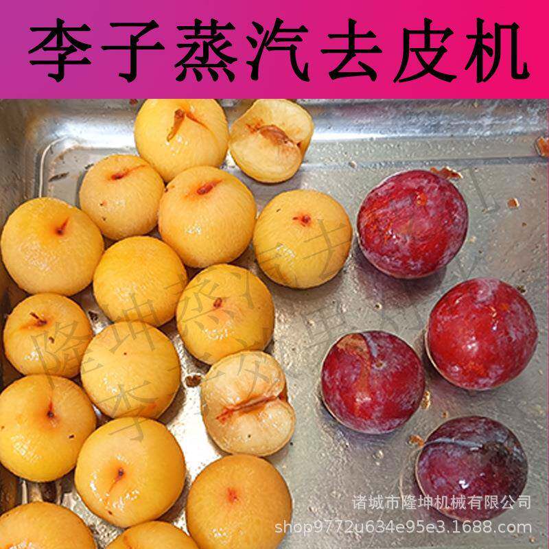 山东李子去皮机 大型全自动黄桃葡萄爆皮机 多功能土豆红薯脱皮机