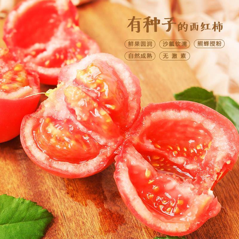 蜂果家熊蜂授粉番茄新鲜自然熟水果番茄生吃老味道无激素粉柿