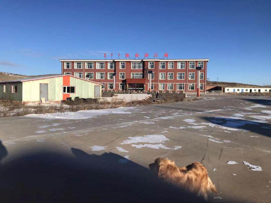 3月31日锡林郭勒盟开发公司土地使用权、建筑物及其构筑物网络拍卖公告