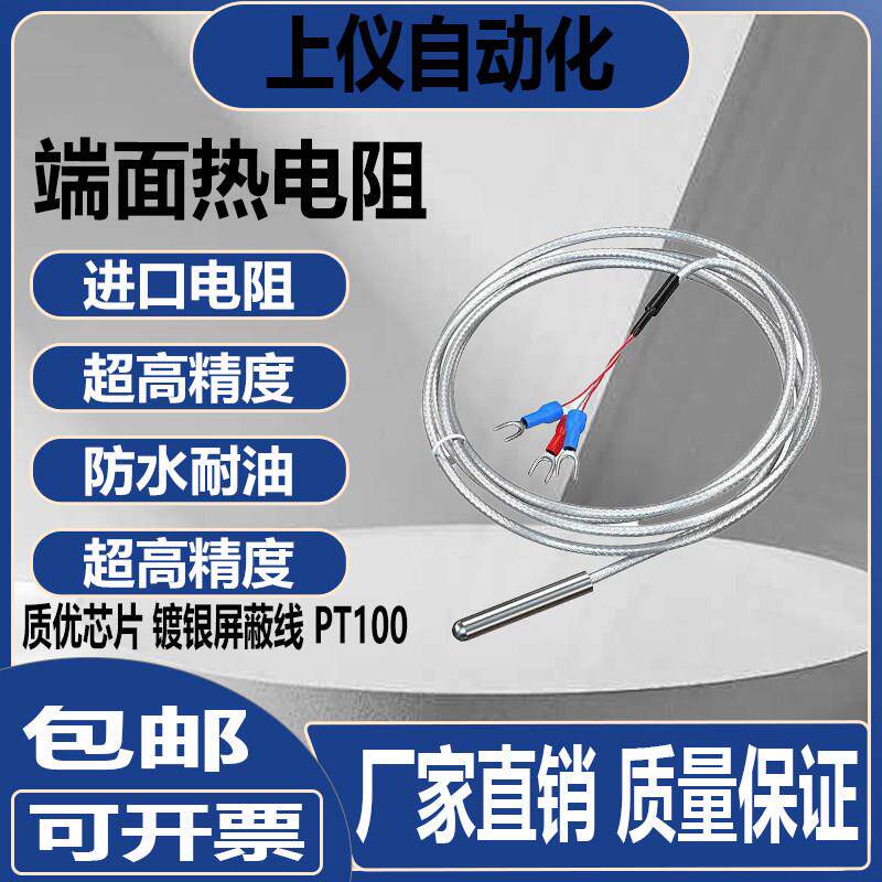 热电阻PT100温度传感器WZP-010温度探头精度A级-200-450°C