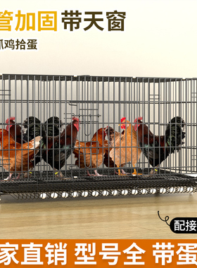 鸡笼子家用养殖笼特大号折叠铁丝笼带粪盘蛋鸡笼黑色室外滚蛋鸡窝