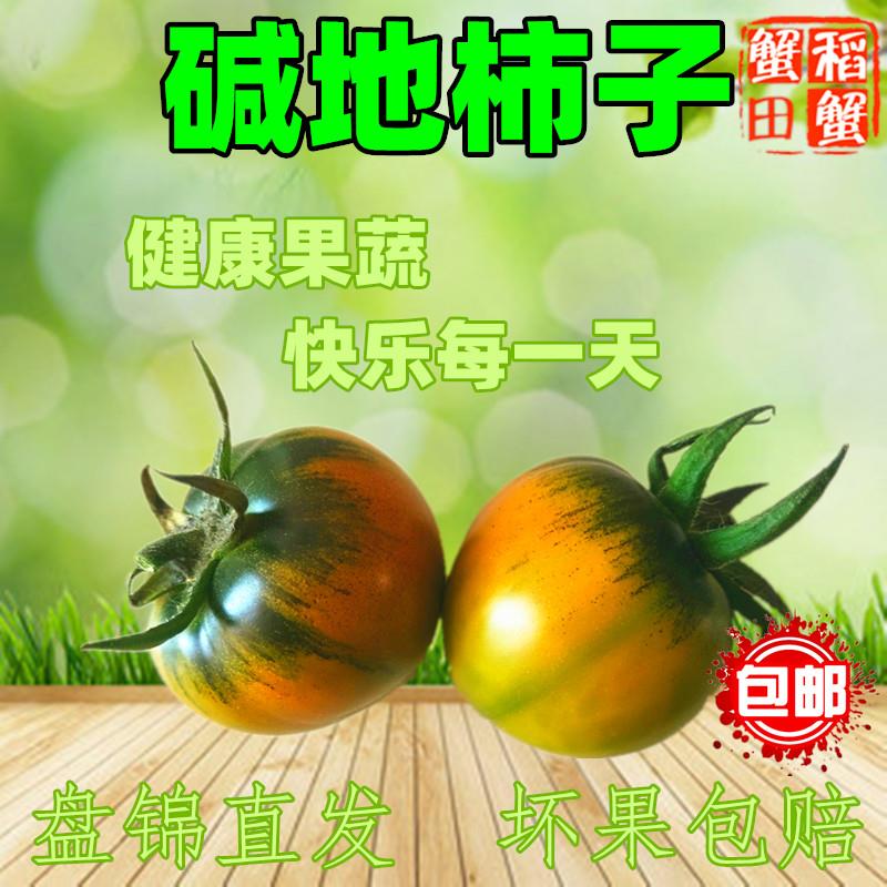 【盘锦碱地柿子】新鲜脆甜水果番茄草莓鹰爪铁皮番茄子市子绿腚