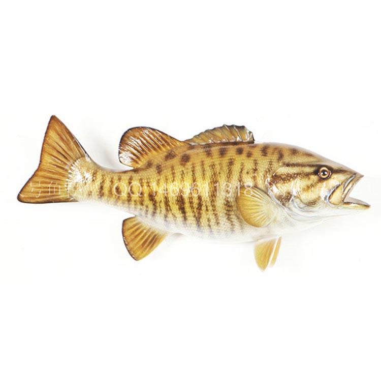 仿真小嘴鲈鱼超大号淡水鱼模型大号鲈鱼半边彩色鱼挂饰假鱼