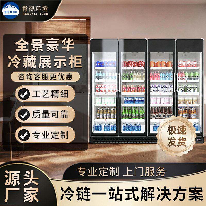 双开门三门冷藏展示柜商用立式冰箱冰柜水果饮料蔬菜保鲜柜定制