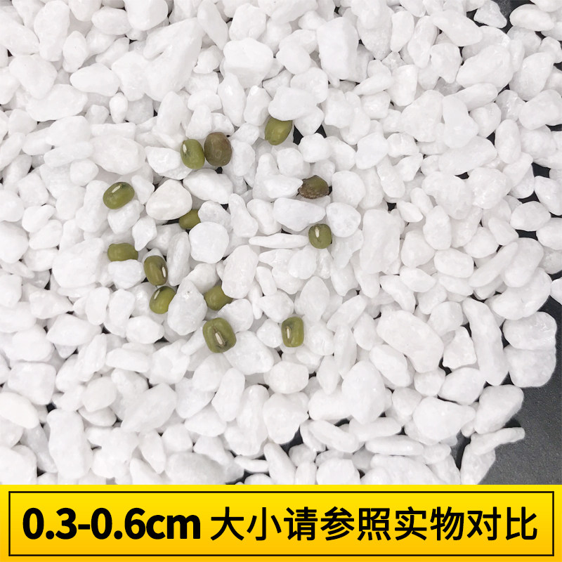 鹅卵石天然雨花石小白石子多肉铺