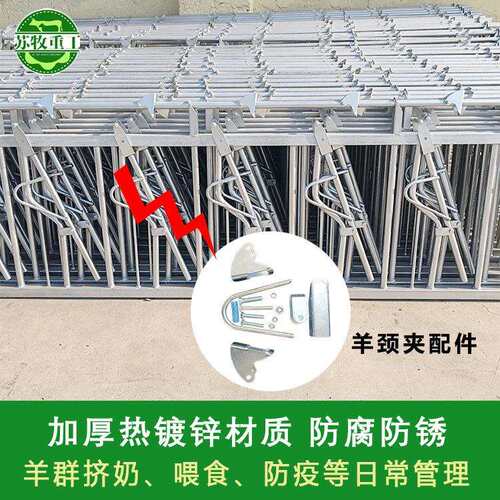 苏牧重工畜牧养殖设备羊颈夹 热镀锌材质一羊一位多种规格
