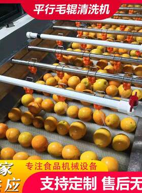 商用果蔬平行毛辊清洗机黄桃毛辊清洗风干线新会柑毛刷清洗机设备