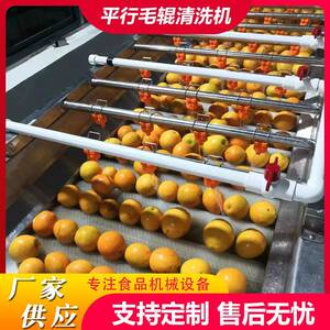 工厂用水果毛刷清洗机设备燕窝果毛辊清洗机麒麟果毛刷清洗风干线