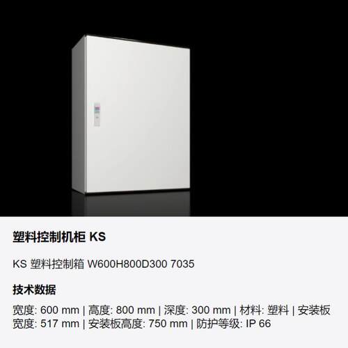 威图AE1057500 可选择带或不带透明门配有门和安装板的玻璃纤维