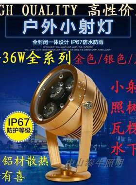 LED防水射灯假山外墙招牌投光灯公园园林草坪灯凉亭风景区屋顶灯