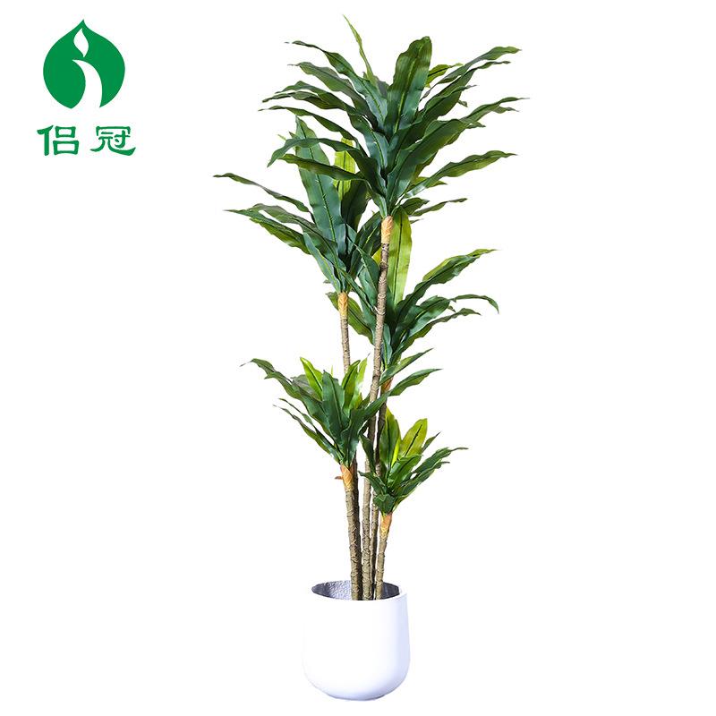 工厂仿真巴西铁巴西木绿植盆栽仿真植物树家居装饰摆件阳台假花卉