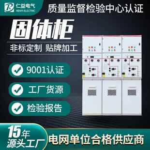 XGN 环网柜GT 12固体绝缘高压开关柜10KV全绝缘固体柜厂家货源