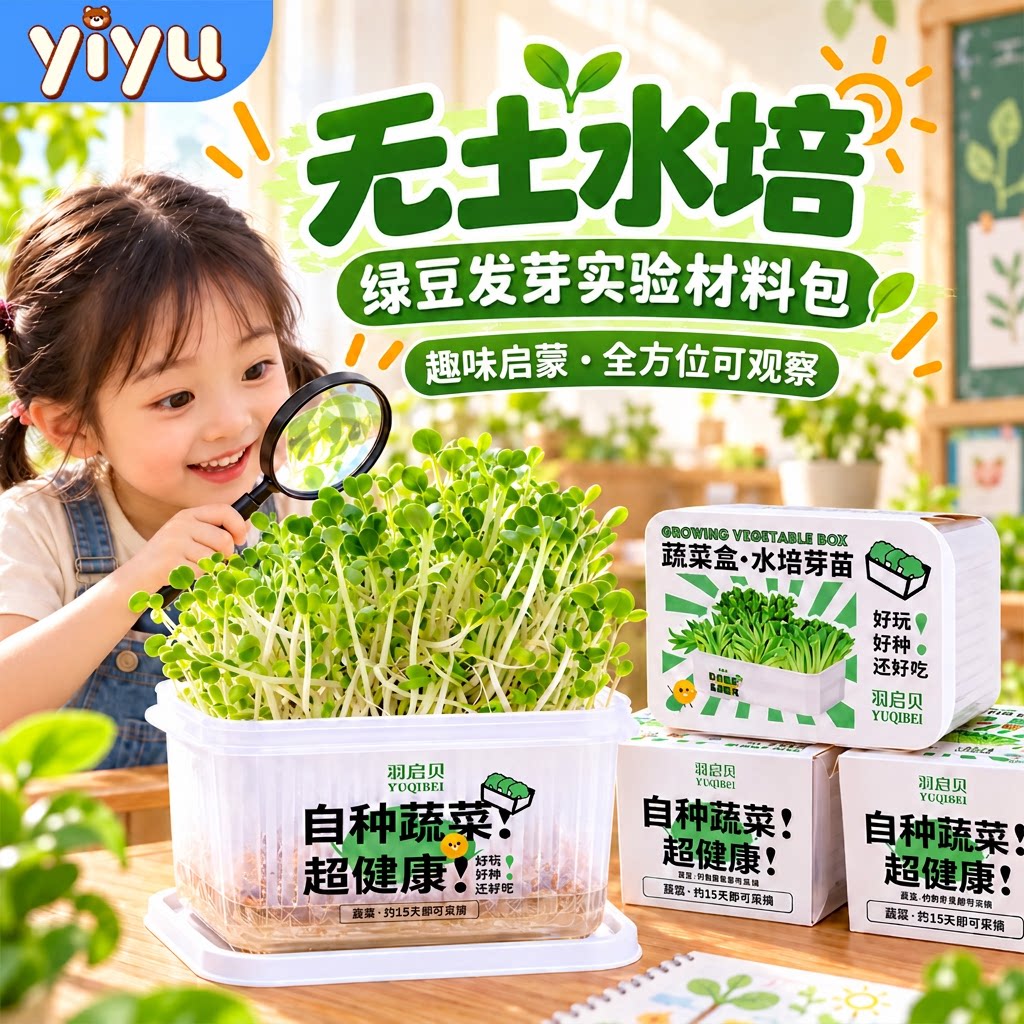 绿豆发芽实验材料包植物生长观察盒无土水培豌豆苗豆芽儿童女孩子