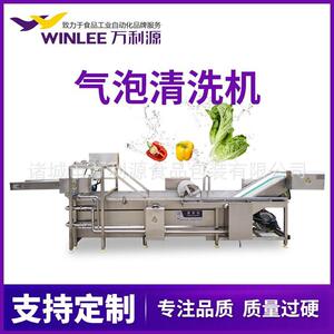 喷淋气泡豆芽清洗设备果蔬气泡清洗设备不锈钢全自动净菜清洗机