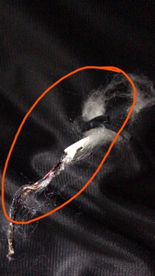 不吹不黑!本博电动按摩椅怎么样?月销过万按摩椅体验真很好?