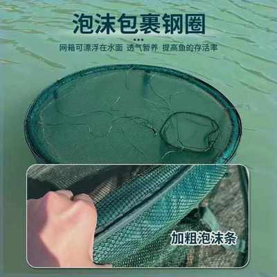 养箱养鱼箱育苗养殖网箱存鱼漂浮暂养鱼护防逃网笼折叠装鱼笼