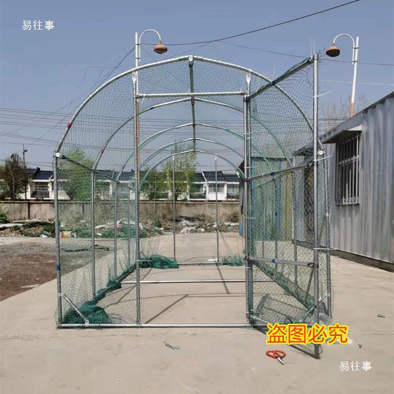 鸡棚搭建室外养殖场家WDQ养鸡户鸡笼养殖阳用房光特大号鸽子外家