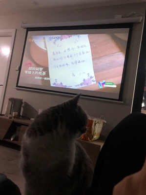 jmgo坚果G7S怎么样?暗访调查报告,大家的反馈让人吃惊