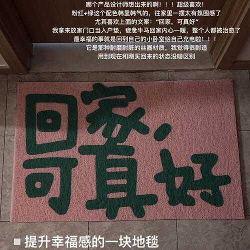 地毯入户门垫2025新款防尘耐脏进户门地毯室内门外专用防滑垫.