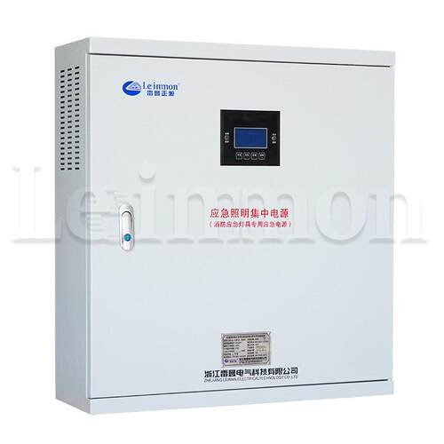 应急照明集中电源配电箱LM-D-2KVA DC24V 30分钟智能疏散指示