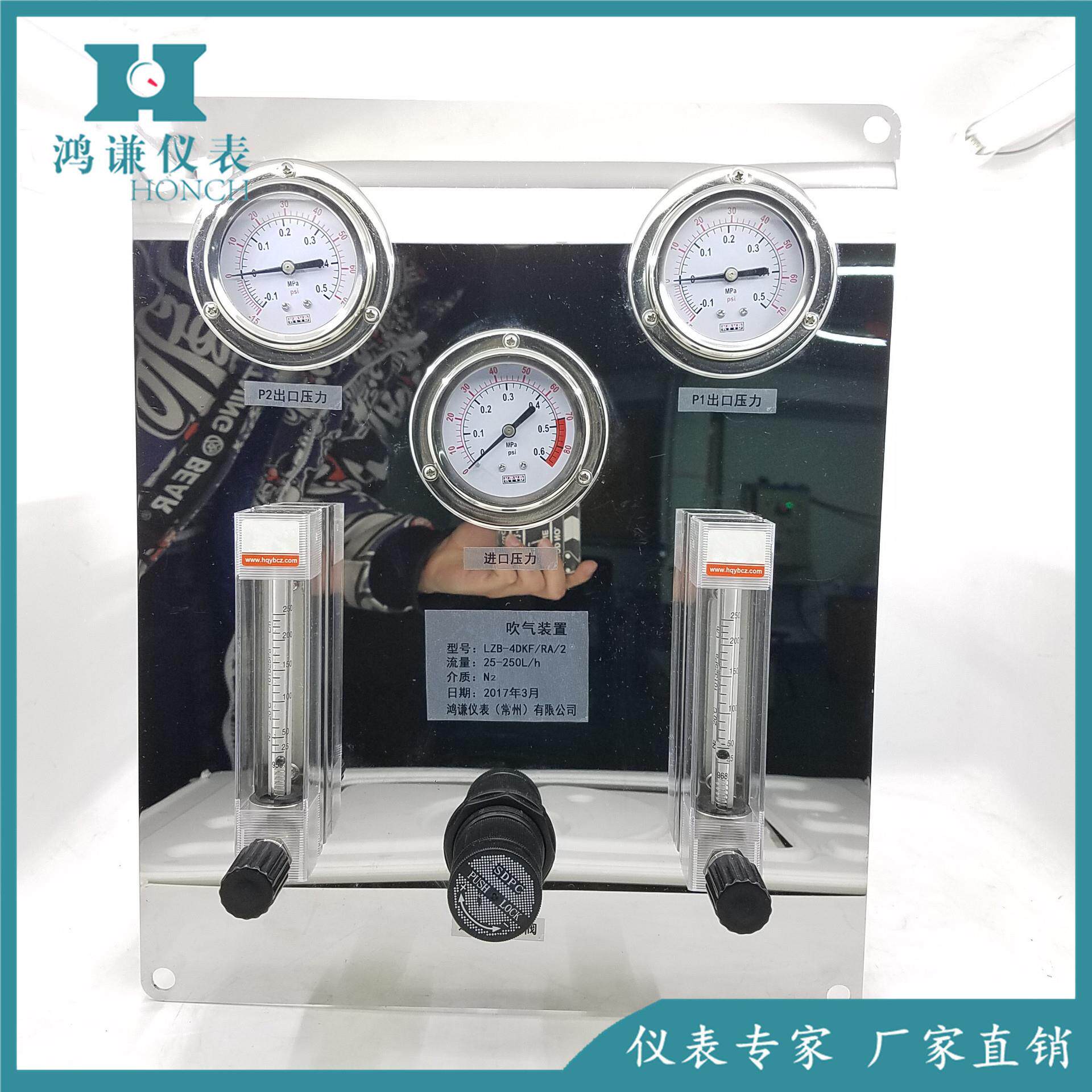 双路吹扫装置流量计,吹气装置流量计恒流装置