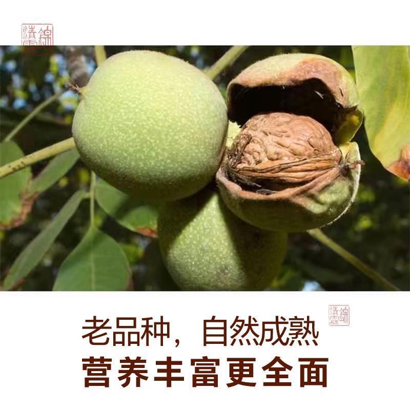 陕西核桃2024新货秦岭厚皮农家特产原味山核桃大果袋装零食