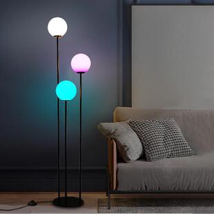立式意钓鱼落地灯客简约6086北欧风女厅遥控沙发边少网红卧室创床