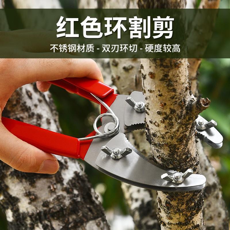 厂家红色环割剪双刃环剥剪双层环剥剪果树环割剪环割刀环剥剪
