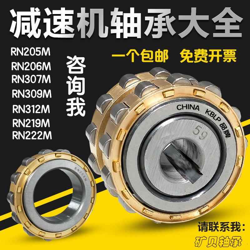 偏心轴承 RN205 RN206 RN307 RN309 204 312 219 222 228 M减速机