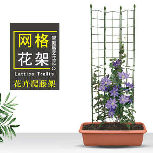 海蒂的花园园之助支撑网片可拆卸爬藤架盆栽地栽花卉植物攀爬花