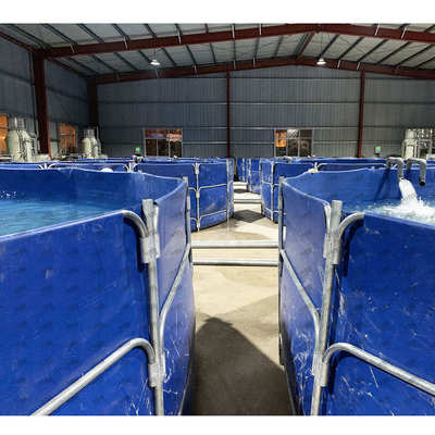 RAS养殖融创文旅城鱼类暂养项目循环水处理系统鱼类养殖设备