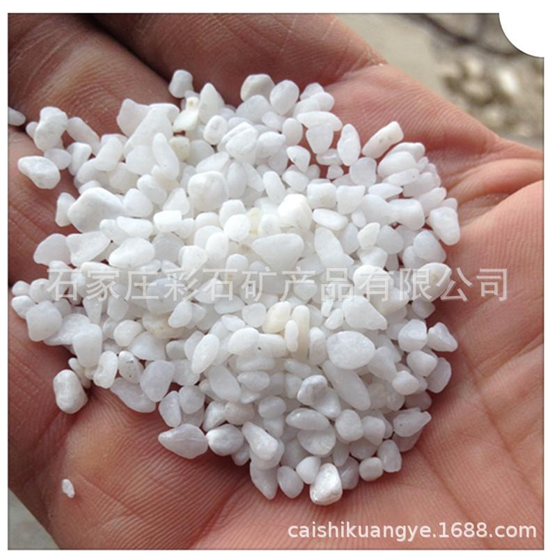 供应白石子鹅卵石 彩石园艺盆栽石头 多肉铺面庭院造景白石子