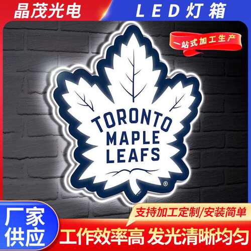 LED灯箱 霓虹灯带灯光时尚个性家居家装饰品壁挂免打孔灯箱