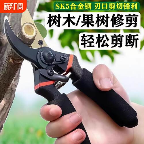 德国进口SK5钢强力园艺剪省力修枝剪园林花木果树嫁接剪专用工具