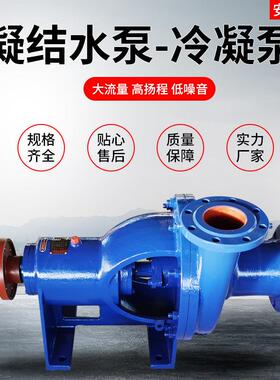 厂家供应沈阳150N110凝结水泵电厂输送用卧式单级离心冷凝泵