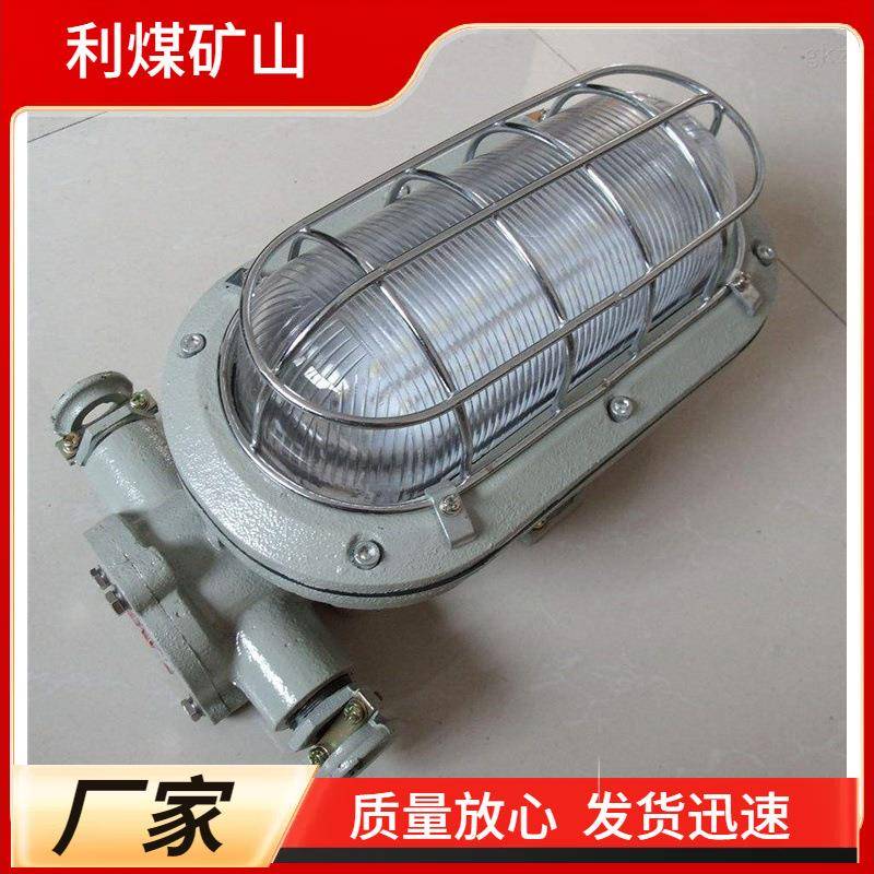 煤矿井下照明灯具防爆支架灯DGC24/127L(A)矿用隔爆型LED支架灯