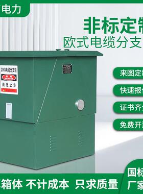 10kv电缆分支箱DFW12/630A转接箱户外欧式分接箱一进一二三四五出