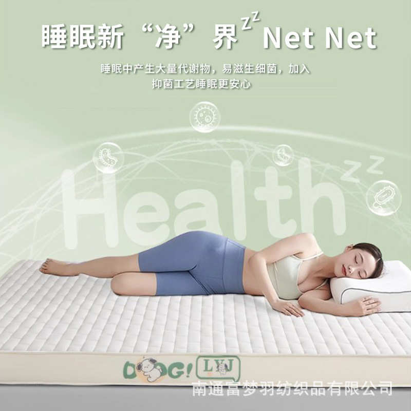 南通厂家乳胶记忆棉床垫软垫家用宿舍学生单人加厚榻榻米海绵垫子