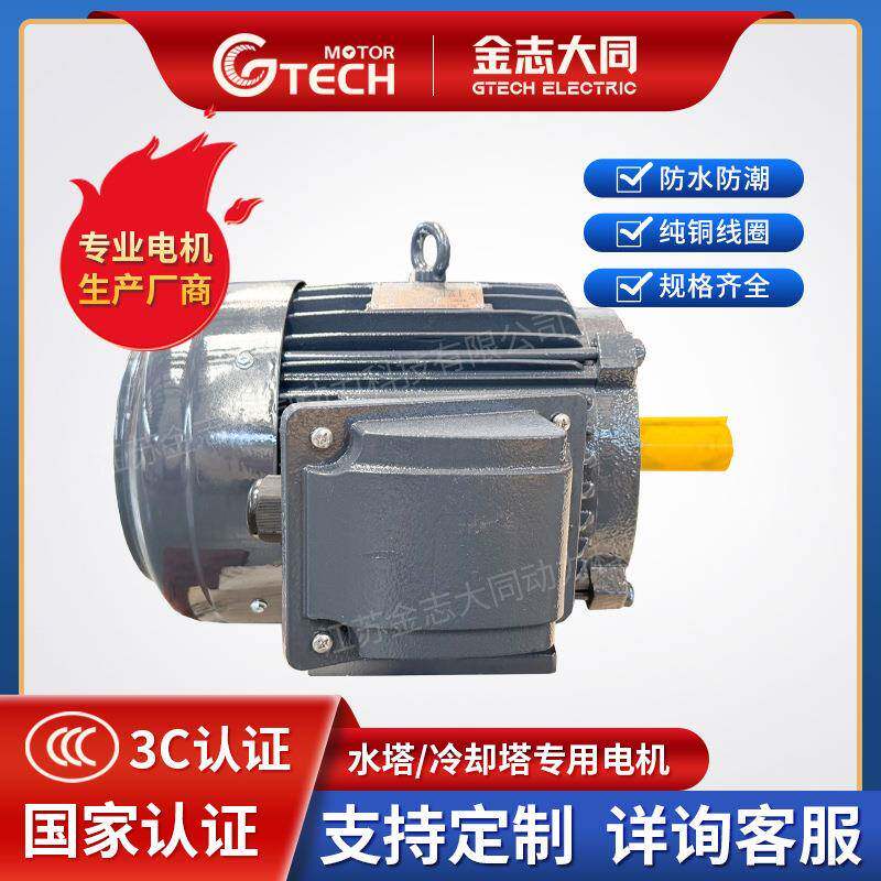 Gtech水塔冷却塔专用三相异步电机变频电动机立式 良机水塔电机