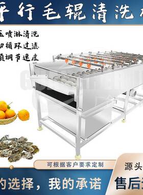 生蚝平行毛辊清洗机粽叶芦苇叶毛刷清洗设备马铃薯去泥清洗机