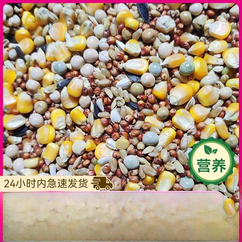 良德益玉米鸽粮赛飞营养鸽粮信鸽肉鸽粮信鸽粮25kg